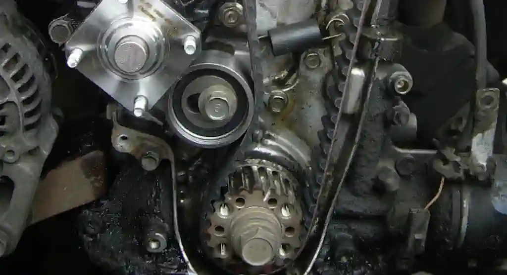 Savjeti za Mokri Remen