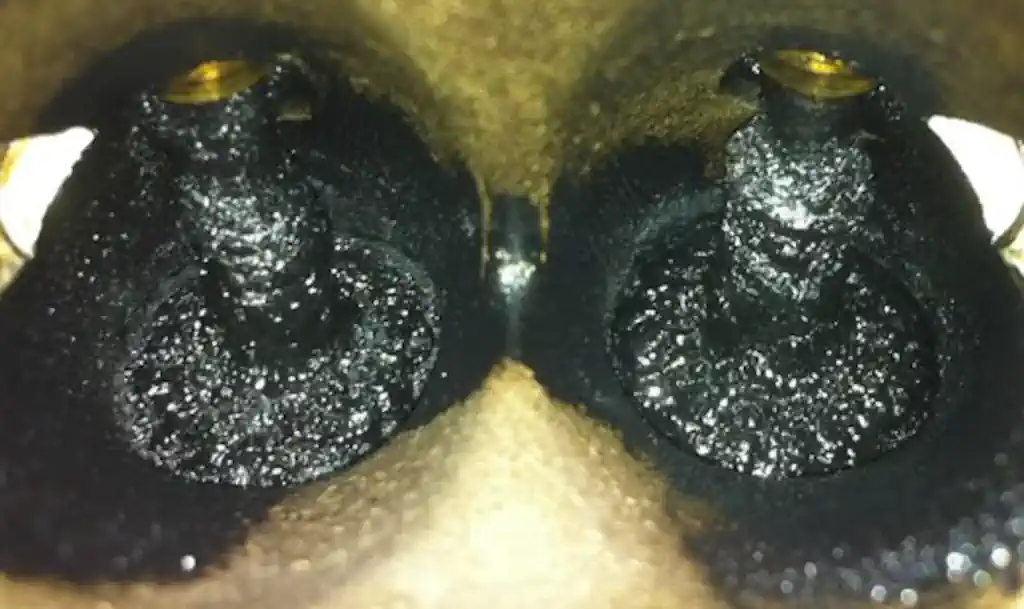 Naslage nečistoća na usisnim ventilima